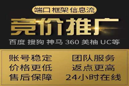 SEM专员的角色与成功案例解析